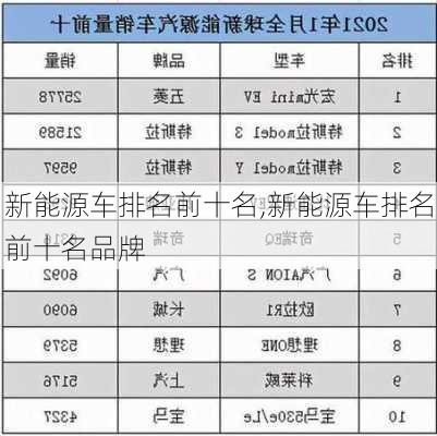 新能源车排名前十名,新能源车排名前十名品牌