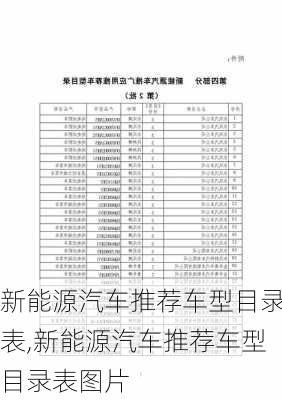 新能源汽车推荐车型目录表,新能源汽车推荐车型目录表图片-第1张图片-苏希特新能源