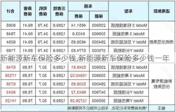 新能源新车保险多少钱,新能源新车保险多少钱一年-第2张图片-苏希特新能源