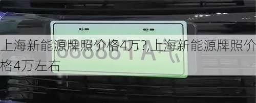 上海新能源牌照价格4万?,上海新能源牌照价格4万左右-第3张图片-苏希特新能源