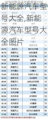 新能源汽车型号大全,新能源汽车型号大全图片-第1张图片-苏希特新能源