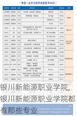 银川新能源职业学院,银川新能源职业学院都有那些专业-第1张图片-苏希特新能源