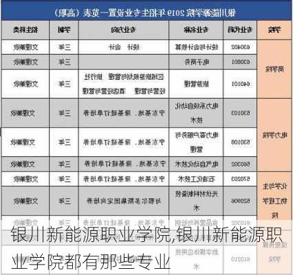 银川新能源职业学院,银川新能源职业学院都有那些专业-第2张图片-苏希特新能源