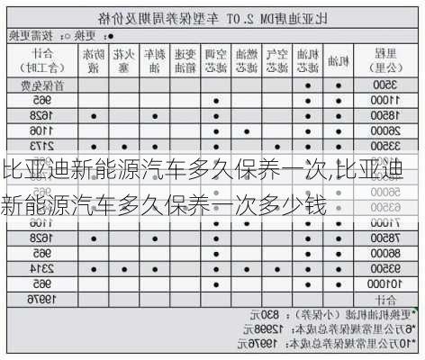 比亚迪新能源汽车多久保养一次,比亚迪新能源汽车多久保养一次多少钱-第2张图片-苏希特新能源