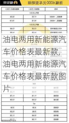 油电两用新能源汽车价格表最新款,油电两用新能源汽车价格表最新款图片