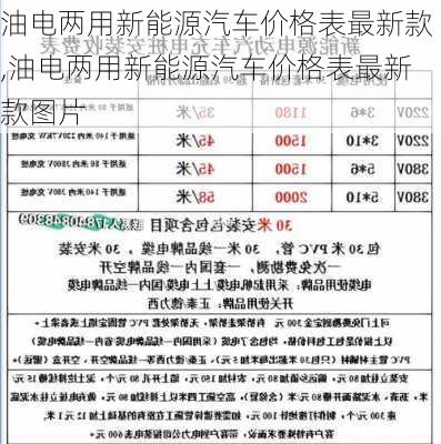 油电两用新能源汽车价格表最新款,油电两用新能源汽车价格表最新款图片-第2张图片-苏希特新能源