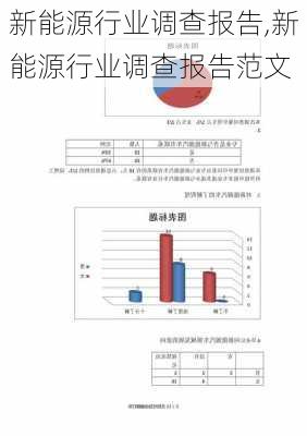 新能源行业调查报告,新能源行业调查报告范文-第3张图片-苏希特新能源