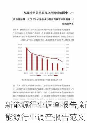 新能源行业调查报告,新能源行业调查报告范文-第2张图片-苏希特新能源