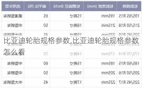 比亚迪轮胎规格参数,比亚迪轮胎规格参数怎么看-第2张图片-苏希特新能源