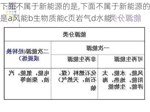 下面不属于新能源的是,下面不属于新能源的是a风能b生物质能c页岩气d水能