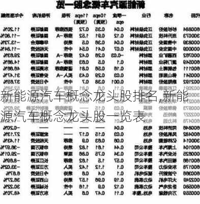 新能源汽车概念龙头股排名,新能源汽车概念龙头股一览表-第2张图片-苏希特新能源