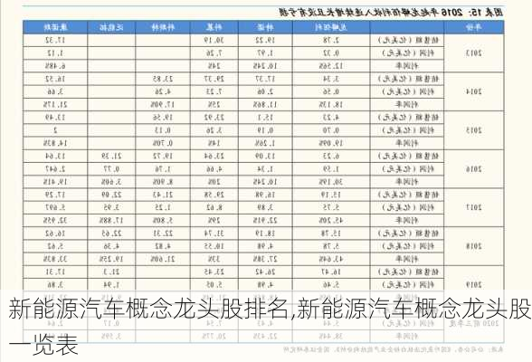 新能源汽车概念龙头股排名,新能源汽车概念龙头股一览表-第1张图片-苏希特新能源