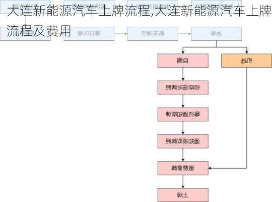 大连新能源汽车上牌流程,大连新能源汽车上牌流程及费用-第3张图片-苏希特新能源