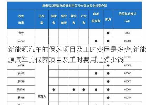 新能源汽车的保养项目及工时费用是多少,新能源汽车的保养项目及工时费用是多少钱-第2张图片-苏希特新能源