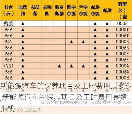 新能源汽车的保养项目及工时费用是多少,新能源汽车的保养项目及工时费用是多少钱-第3张图片-苏希特新能源