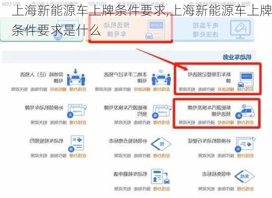 上海新能源车上牌条件要求,上海新能源车上牌条件要求是什么-第2张图片-苏希特新能源