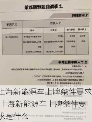 上海新能源车上牌条件要求,上海新能源车上牌条件要求是什么-第1张图片-苏希特新能源