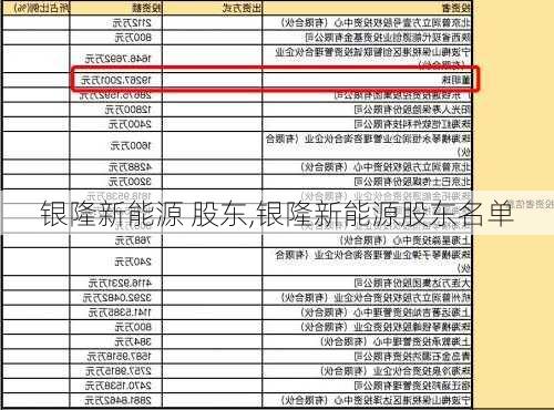 银隆新能源 股东,银隆新能源股东名单-第2张图片-苏希特新能源