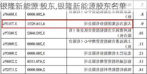 银隆新能源 股东,银隆新能源股东名单-第3张图片-苏希特新能源