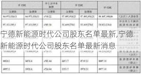 宁德新能源时代公司股东名单最新,宁德新能源时代公司股东名单最新消息-第1张图片-苏希特新能源