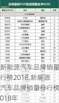 新能源汽车品牌销量排行榜2018,新能源汽车品牌销量排行榜2018年-第2张图片-苏希特新能源