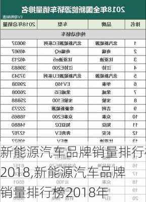 新能源汽车品牌销量排行榜2018,新能源汽车品牌销量排行榜2018年-第3张图片-苏希特新能源