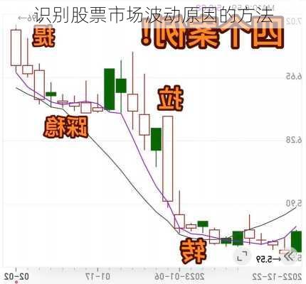 识别股票市场波动原因的方法-第2张图片-苏希特新能源