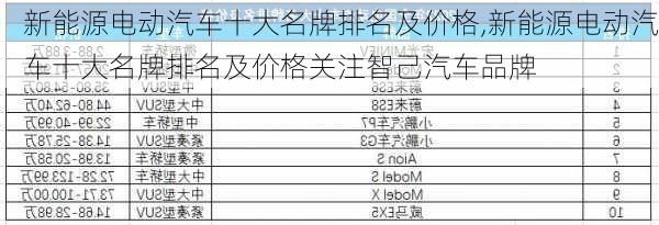 新能源电动汽车十大名牌排名及价格,新能源电动汽车十大名牌排名及价格关注智己汽车品牌-第3张图片-苏希特新能源