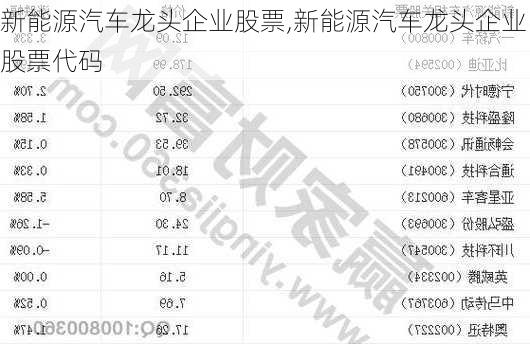 新能源汽车龙头企业股票,新能源汽车龙头企业股票代码-第3张图片-苏希特新能源