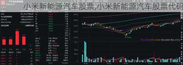 小米新能源汽车股票,小米新能源汽车股票代码-第3张图片-苏希特新能源