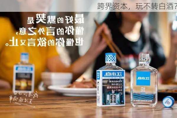 跨界资本，玩不转白酒？-第3张图片-苏希特新能源