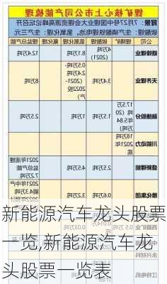 新能源汽车龙头股票一览,新能源汽车龙头股票一览表-第1张图片-苏希特新能源