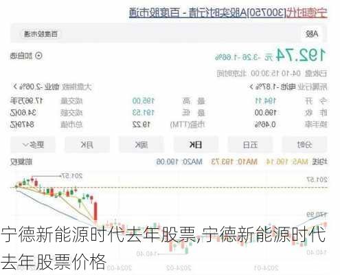 宁德新能源时代去年股票,宁德新能源时代去年股票价格-第2张图片-苏希特新能源