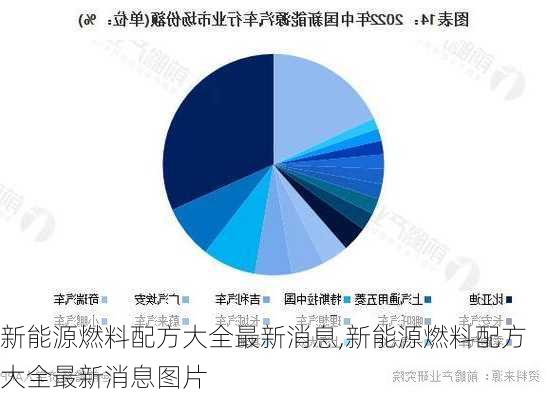 新能源燃料配方大全最新消息,新能源燃料配方大全最新消息图片-第3张图片-苏希特新能源