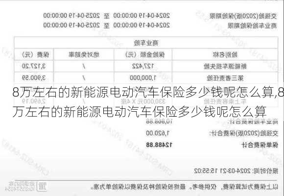 8万左右的新能源电动汽车保险多少钱呢怎么算,8万左右的新能源电动汽车保险多少钱呢怎么算-第1张图片-苏希特新能源