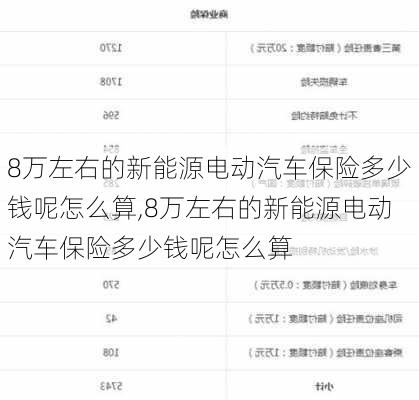 8万左右的新能源电动汽车保险多少钱呢怎么算,8万左右的新能源电动汽车保险多少钱呢怎么算-第2张图片-苏希特新能源