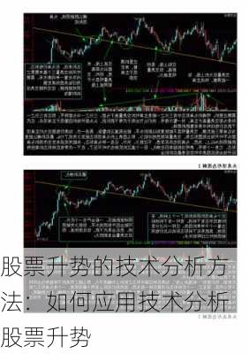 股票升势的技术分析方法：如何应用技术分析股票升势-第3张图片-苏希特新能源