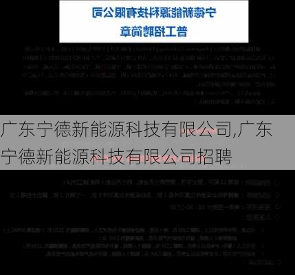 广东宁德新能源科技有限公司,广东宁德新能源科技有限公司招聘