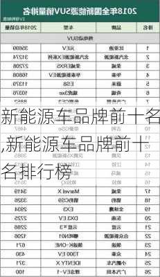 新能源车品牌前十名,新能源车品牌前十名排行榜-第2张图片-苏希特新能源