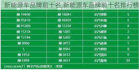 新能源车品牌前十名,新能源车品牌前十名排行榜-第3张图片-苏希特新能源