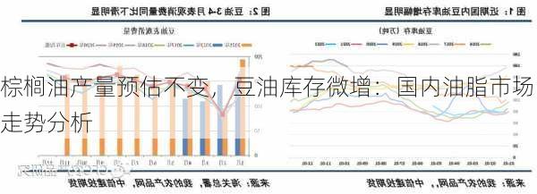 棕榈油产量预估不变，豆油库存微增：国内油脂市场走势分析-第2张图片-苏希特新能源