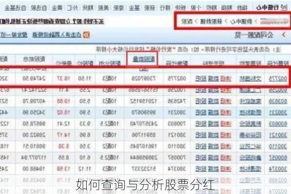 如何查询与分析股票分红-第3张图片-苏希特新能源