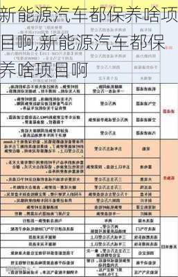 新能源汽车都保养啥项目啊,新能源汽车都保养啥项目啊-第2张图片-苏希特新能源