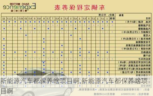 新能源汽车都保养啥项目啊,新能源汽车都保养啥项目啊-第1张图片-苏希特新能源