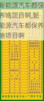 新能源汽车都保养啥项目啊,新能源汽车都保养啥项目啊-第3张图片-苏希特新能源