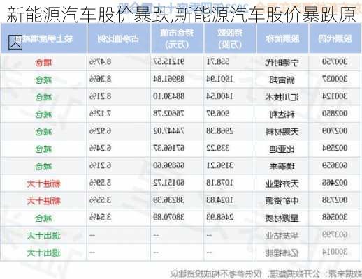 新能源汽车股价暴跌,新能源汽车股价暴跌原因-第2张图片-苏希特新能源