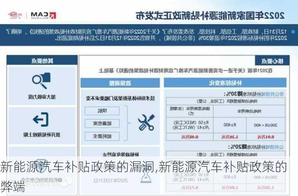 新能源汽车补贴政策的漏洞,新能源汽车补贴政策的弊端-第3张图片-苏希特新能源
