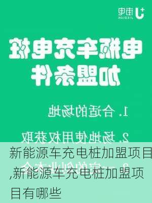 新能源车充电桩加盟项目,新能源车充电桩加盟项目有哪些-第1张图片-苏希特新能源