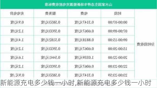 新能源充电多少钱一小时,新能源充电多少钱一小时-第2张图片-苏希特新能源