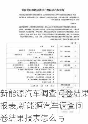 新能源汽车调查问卷结果报表,新能源汽车调查问卷结果报表怎么写-第3张图片-苏希特新能源